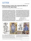 Research paper thumbnail of Brain structure resolves the segmental affinity of anomalocaridid appendages