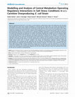 Research paper thumbnail of Modelling and Analysis of Central Metabolism Operating Regulatory Interactions in Salt Stress Conditions in a LCarnitine Overproducing E. coli Strain