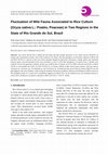 Research paper thumbnail of Fluctuation of Mite Fauna Associated to Rice Culture (Oryza sativa L.: Poales, Poaceae) in Two Regions in the State of Rio Grande do Sul, Brazil