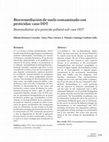 Research paper thumbnail of Biorremediacion de suelos