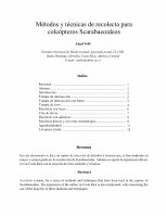 Research paper thumbnail of Métodos y técnicas de recolecta para coleópteros Scarabaeoideos