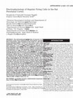 Research paper thumbnail of Electrophysiology of regular firing cells in the rat perirhinal cortex