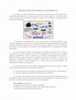 Research paper thumbnail of PRODUCCION DE BIOMASA MICROBIANA