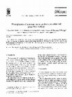 Research paper thumbnail of Photophysics of a pyrene probe grafted onto silanized glass fiber surfaces