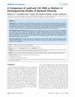 Research paper thumbnail of A Comparison of rpoB and 16S rRNA as Markers in Pyrosequencing Studies of Bacterial Diversity