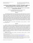 Research paper thumbnail of Correlación Genotipo-Fenotipo en CADASIL. Desempeño cognitivo en pacientes portadores de las mutaciones R1031C y C455R