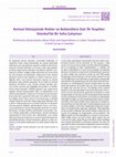 Research paper thumbnail of Kentsel Dönüşümde Riskler ve Beklentilere Dair İlk Tespitler: İstanbul’da Bir Saha Çalışması /Preliminary Assessments About Risks and Expectations in Urban Transformation: A Field Survey in Istanbul