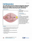 Research paper thumbnail of The CDP-Ethanolamine Pathway Regulates Skeletal Muscle Diacylglycerol Content and Mitochondrial Biogenesis without Altering Insulin Sensitivity