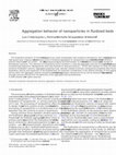 Research paper thumbnail of Aggregation behavior of nanoparticles in fluidized beds