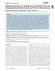 Research paper thumbnail of Lifespan Extension in a Semelparous Chordate Occurs via Developmental Growth Arrest Just Prior to Meiotic Entry