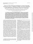 Research paper thumbnail of Activity and three-dimensional distribution of toluene-degrading Pseudomonas putida in a multispecies biofilm assessed by quantitative in situ hybridization and scanning confocal laser microscopy