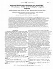 Research paper thumbnail of Molecular Sieving Silica Overlayer on γ-Alumina:  The Structure and Acidity Controlled by the Template Molecule