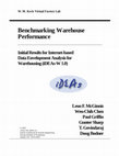 Research paper thumbnail of Initial Results for Internet-based Data Envelopment Analysis for Warehousing (iDEAs-W 1.0)