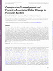 Research paper thumbnail of Comparative transcriptomics of maturity-associated color change in Hawaiian spiders