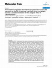 Research paper thumbnail of Transcriptional regulation of metabotropic glutamate receptor 2/3 expression by the NF-kappaB pathway in primary dorsal root ganglia neurons: a possible mechanism for the analgesic effect of L-acetylcarnitine