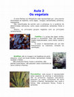 Research paper thumbnail of Aula 02 Os vegetais