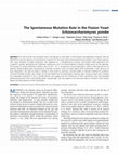 Research paper thumbnail of The Spontaneous Mutation Rate in the Fission Yeast Schizosaccharomyces pombe