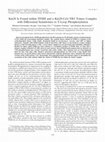 Research paper thumbnail of Kin28 Is Found within TFIIH and a Kin28-Ccl1-Tfb3 Trimer Complex with Differential Sensitivities to T-Loop Phosphorylation