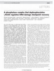 Research paper thumbnail of A phosphatase complex that dephosphorylates gammaH2AX regulates DNA damage checkpoint recovery