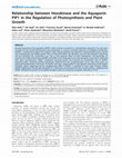 Research paper thumbnail of Relationship between Hexokinase and the Aquaporin PIP1 in the Regulation of Photosynthesis and Plant Growth