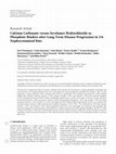 Research paper thumbnail of Calcium Carbonate versus Sevelamer Hydrochloride as Phosphate Binders after Long-Term Disease Progression in 5/6 Nephrectomized Rats