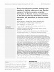 Research paper thumbnail of Study of mural painting isolates, leading to the transfer of 'Bacillus maroccanus' and 'Bacillus carotarum' to Bacillus simplex, emended description of Bacillus simplex, re-examination of the strains previously attributed to 'Bacillus macroides' and description of Bacillus muralis sp. nov