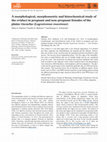 Research paper thumbnail of A morphological, morphometric and histochemical study of the oviduct in pregnant and non-pregnant females of the plains viscacha ( Lagostomus maximus )