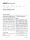 Research paper thumbnail of Djungarian hamsters (Phodopus sungorus) are not susceptible to stimulating effects of 6-methoxy-2-benzoxazolinone on reproductive organs