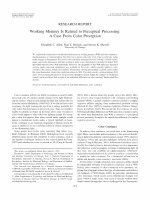 Research paper thumbnail of Allen, E.C., Beilock, S.L., & Shevell, S.K. (2011). Working memory is related to perceptual processing: A case from color perception. Journal of Experimental Psychology: Learning, Memory and Cognition, 37(4), 1014-1021.