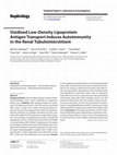 Research paper thumbnail of Oxidized Low-Density Lipoprotein Antigen Transport Induces Autoimmunity in the Renal Tubulointerstitium