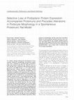 Research paper thumbnail of Selective Loss of Podoplanin Protein Expression Accompanies Proteinuria and Precedes Alterations in Podocyte Morphology in a Spontaneous Proteinuric Rat Model