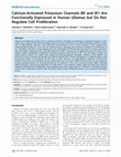 Research paper thumbnail of Calcium-Activated Potassium Channels BK and IK1 Are Functionally Expressed in Human Gliomas but Do Not Regulate Cell Proliferation