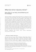 Research paper thumbnail of What do mirror neurons mirror?