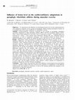 Research paper thumbnail of Influence of lesion level on the cardioventilatory adaptations in paraplegic wheelchair athletes during muscular exercise