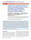 Research paper thumbnail of Involvement of doublesex and mab-3-related transcription factors in human female germ cell development demonstrated by xenograft and interference RNA strategies