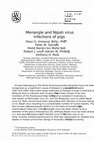 Research paper thumbnail of Menangle and Nipah virus infections of pigs