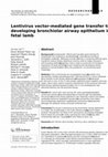 Research paper thumbnail of Lentivirus vector-mediated gene transfer to the developing bronchiolar airway epithelium in the fetal lamb