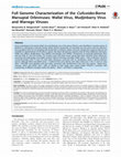 Research paper thumbnail of Full Genome Characterization of the Culicoides-Borne Marsupial Orbiviruses: Wallal Virus, Mudjinbarry Virus and Warrego Viruses