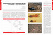 Research paper thumbnail of A importância da meso e macrofauna do solo na fertilidade e como biondicadores