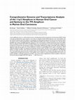 Research paper thumbnail of Comprehensive genome and transcriptome analysis of the 11q13 amplicon in human oral cancer and synteny to the 7F5 amplicon in murine oral carcinoma