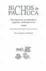 Research paper thumbnail of Bichos de Pachuca: Descripción de invertebrados y pequeños vertebrados de la ciudad