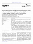 Research paper thumbnail of Functional adaptation of knee cartilage in asymptomatic female novice runners compared to sedentary controls. A longitudinal analysis using delayed Gadolinium Enhanced Magnetic Resonance Imaging of Cartilage (dGEMRIC)