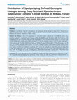 Research paper thumbnail of Distribution of Spoligotyping Defined Genotypic Lineages among Drug-Resistant Mycobacterium tuberculosis Complex Clinical Isolates in Ankara, Turkey