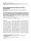 Research paper thumbnail of Matrix metalloproteinase genes inXenopus development