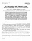 Research paper thumbnail of The surface ectoderm of the chick embryo exhibits dynamic variation in its response to neurogenic signals