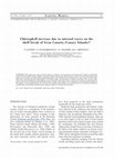 Research paper thumbnail of Chlorophyll increase due to internal waves in the shelf-break of Gran Canaria Island (Canary Islands)