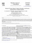 Research paper thumbnail of Study of Frozen Waves’ theory through a continuous superposition of Bessel beams