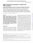 Research paper thumbnail of Rapid hierarchical assembly of medium-size DNA cassettes