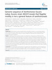 Research paper thumbnail of Genome sequence of Xanthomonas fuscans subsp. fuscans strain 4834-R reveals that flagellar motility is not a general feature of xanthomonads