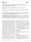 Research paper thumbnail of Draft Genome Sequence of the Flagellated Xanthomonas fuscans subsp. fuscans Strain CFBP 4884